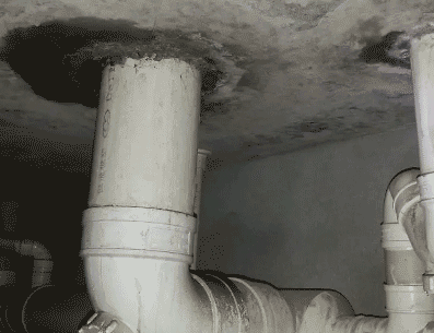 永德卫生间漏水维修公司为您专业分享下永德卫生间测漏水的信息
