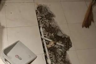 永德卫生间漏水检测电话